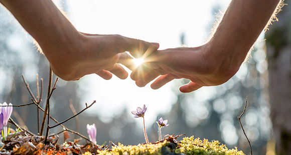 hand reaching towards lavender flowers in a serene setting with focus on nature and relaxation 11 types of lavender plants