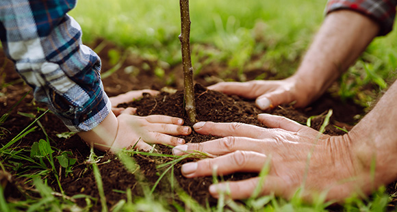 a child and an adult planting a small tree together in the ground fostering a connection with nature and encouraging environmental awareness with 10 easy steps for planting