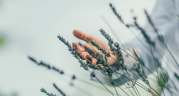 3D silver globe with a stylized world map representing global connectivity and eight continents