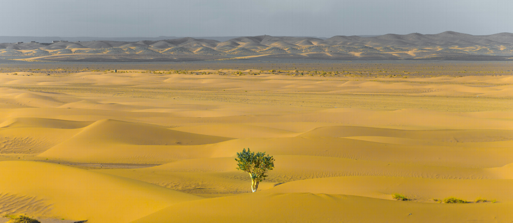 Resilience Isn’t Built. It’s Revealed Resilience is everywhere in leadership conversations.