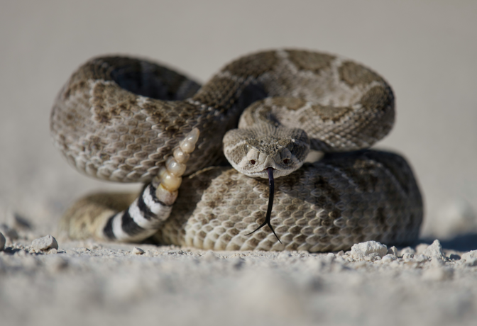 When One Message Changes Everything A Leadership Lesson in Communication Discipline, Clarity and Organisational Alignment